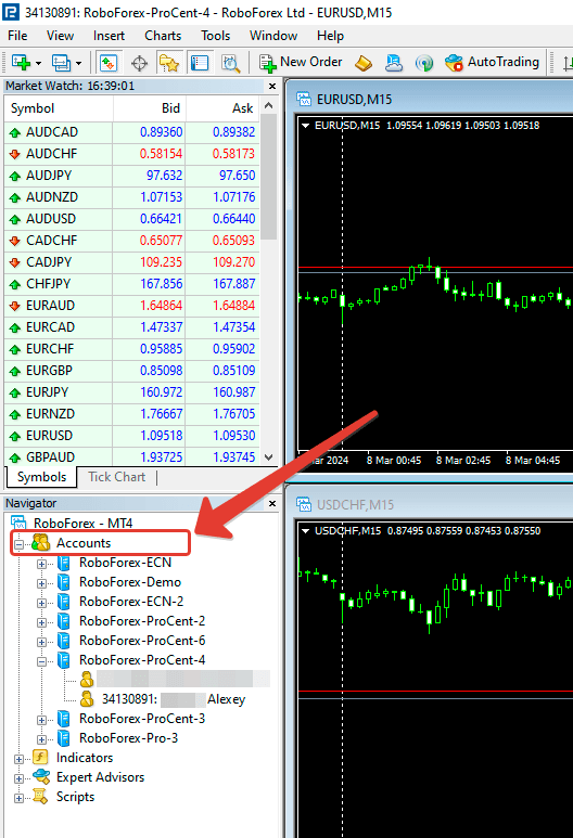 Installation and configuration of the trading terminal - Navigator window